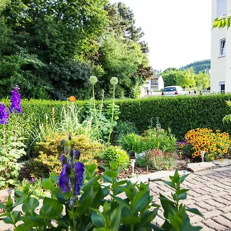 Gaestehaus Ehses Guest house 3*