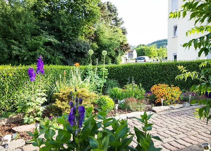 Gaestehaus Ehses Casa de hóspedes 3*